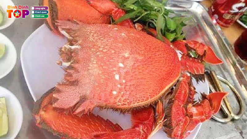 Top-7-dia-chi-thuong-thuc-cua-huynh-de-binh-dinh-ngon-tuyet-voi