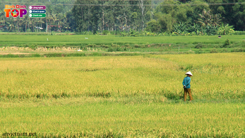 Cau-ca-dao-ve-binh-dinh-binhdinhtoplist-2