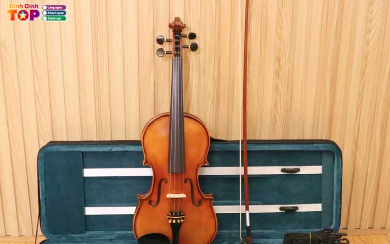 Cau-hoi-thuong-gap-ve-mua-dan-violin-binh-dinh