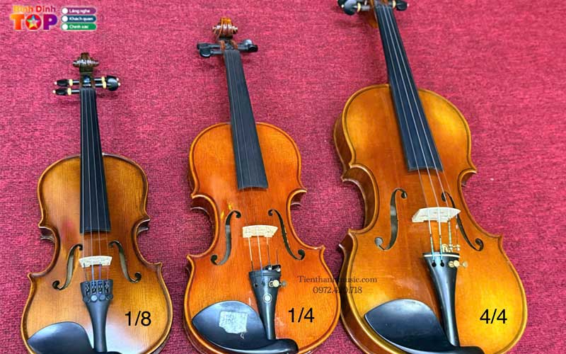 Tieu-chi-danh-gia-shop-dan-violin-binh-dinh