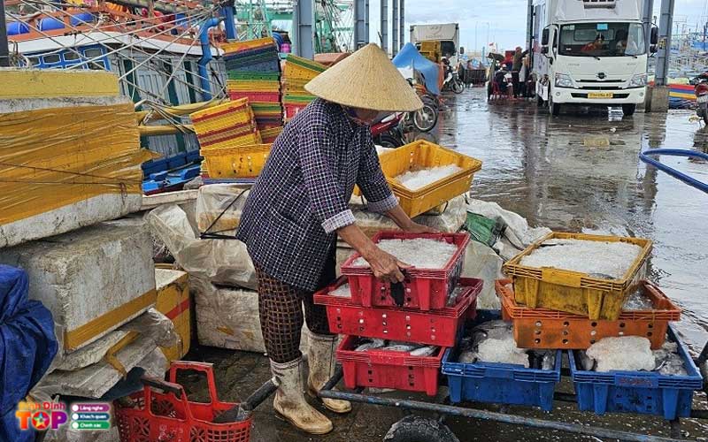 Cau-hoi-thuong-gap-ve-cang-ca-binh-dinh-binhdinhtoplist