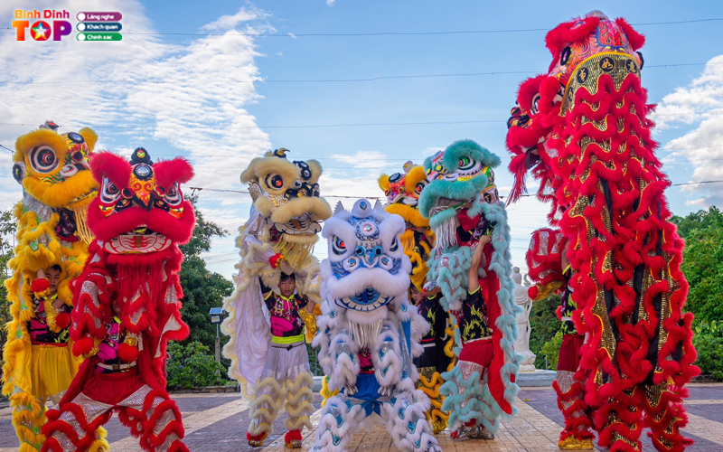 Doan-nghe-thuat-lan-su-rong-minh-tinh-binhdinhtoplist