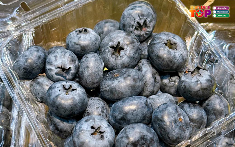 Family-fruits-binhdinhtoplist