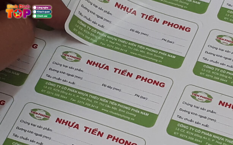 In-sao-viet-binhdinhtoplist