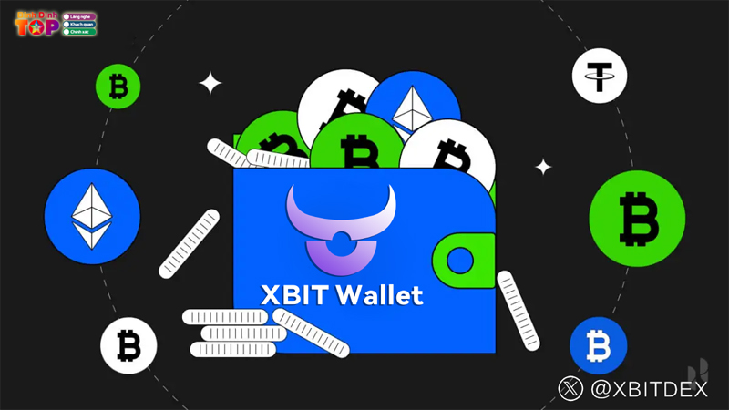Vi-xbit-giup-nguoi-dung-quan-li-rui-ro-va-thach-thuc-cua-web3-1