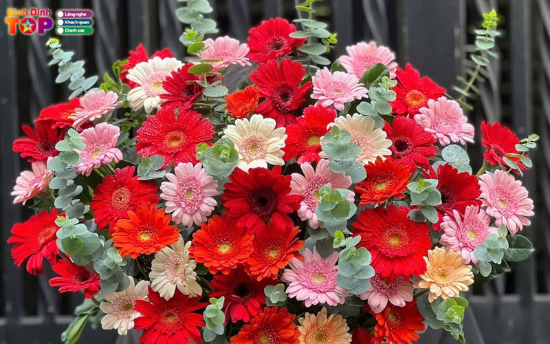 Hoa-tuoi-anh-quan-binhdinhtoplist