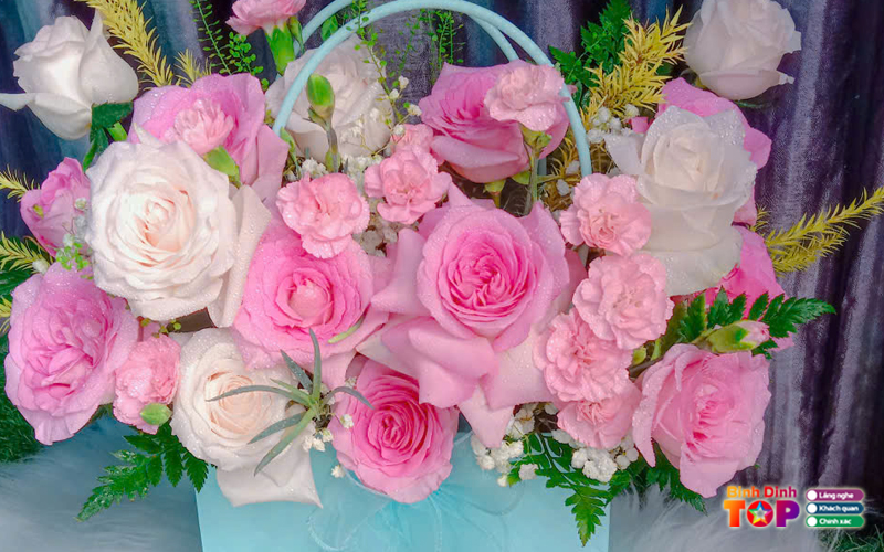 Hoa-tuoi-tai-loc-binhdinhtoplist