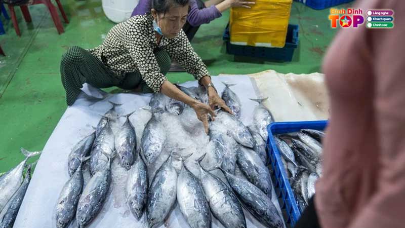 Ca-ngu-dai-duong-binh-dinh
