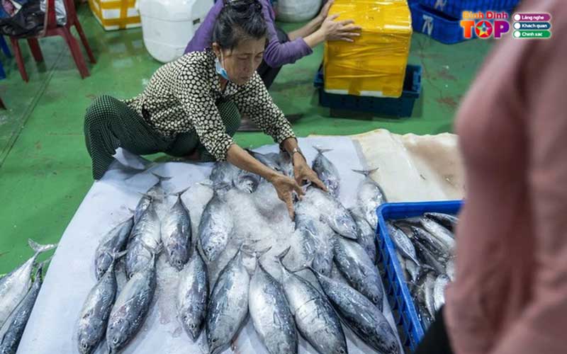 Dai-ly-ca-ngu-dai-duong-sy-phat-binhdinhtoplist