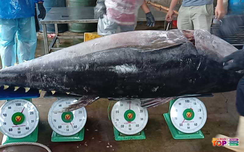 Hai-san-anh-dung-binhdinhtoplist