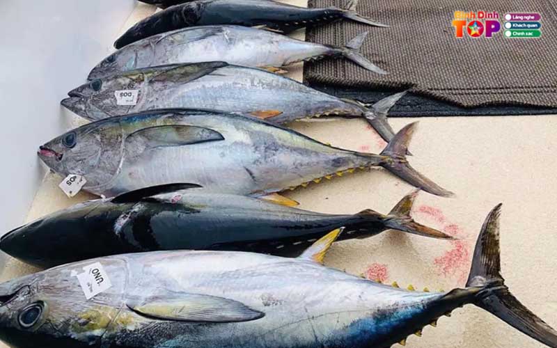 Hai-san-gia-hung-binhdinhtoplist