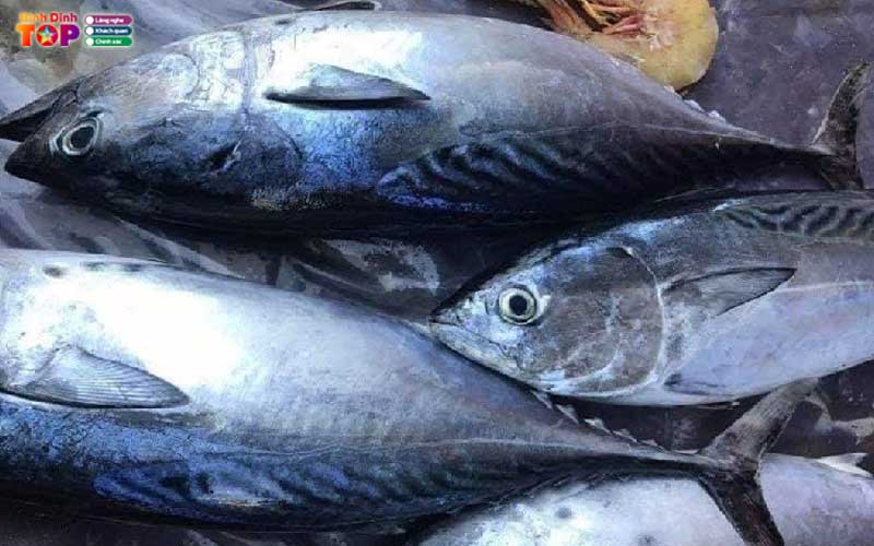 Kinh-nghiem-phan-loai-va-chon-mua-ca-ngu-dai-duong-quy-nhon